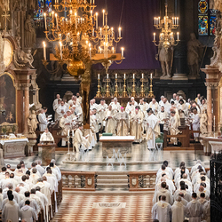 Chrisammesse 2025 / Erzdiözese Wien/ Schönlaub, Stephan Schönlaub